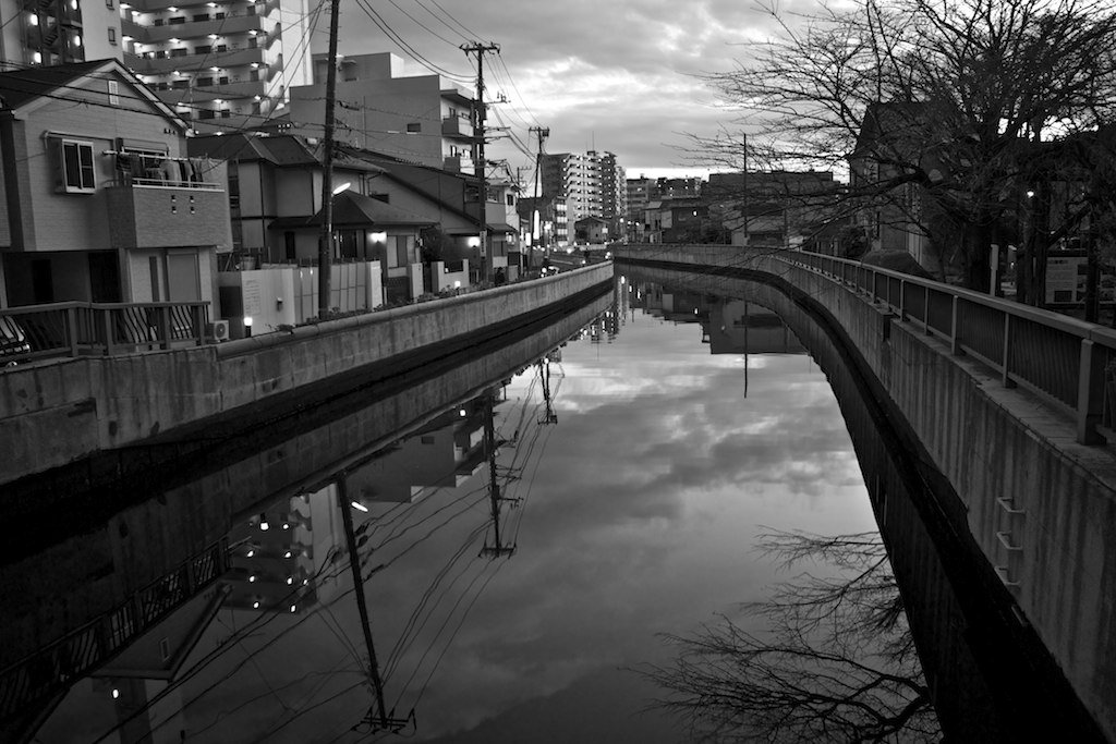 🌳 후나바시항 친수공원 (船橋港親水公園) 이미지 7